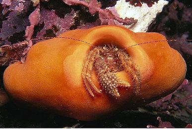 《苍穹浩瀚：奥西里斯重生》环境展示宣传片