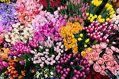 三国策略游戏《三国之志4》首支预告片发布