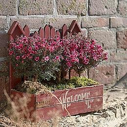 日本男子组合KP欢乐体验《马力欧派对：超级巨星》